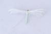 White Plume (Pterophorus pentadactyla), adult. Castle Eden Dene, 06-07-2025. Copyright Christopher Blakey. White Plume (Pterophorus pentadactyla), adult. Castle Eden Dene, 06-07-2025. Copyright Christopher Blakey.