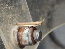 Pima boisduvaliella, adult. Saltholme, 19-07-2022. Copyright Ed Pritchard. Pima boisduvaliella, adult. Saltholme, 19-07-2022. Copyright Ed Pritchard.