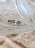 Bohemannia quadrimaculella, adult. Darlington, 12-07-2025. Copyright Chris Bell.