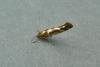 Argyresthia goedartella, adult. Chester-le-Street, 25-07-2010. Copyright Keith Dover.